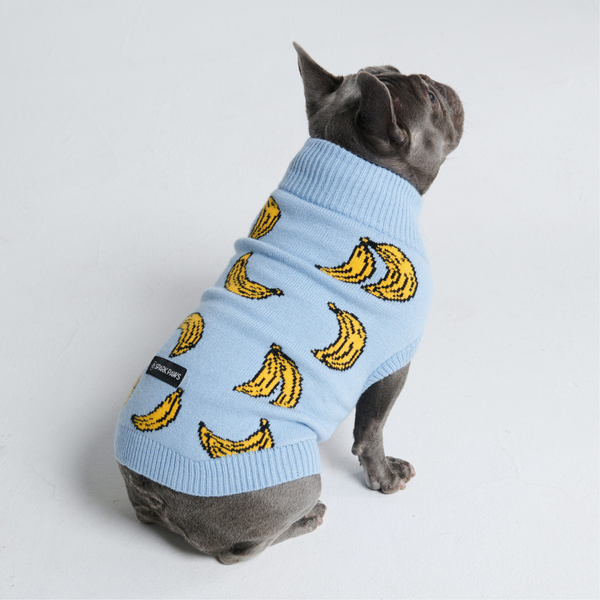 Pull pour chien en tricot - Banane