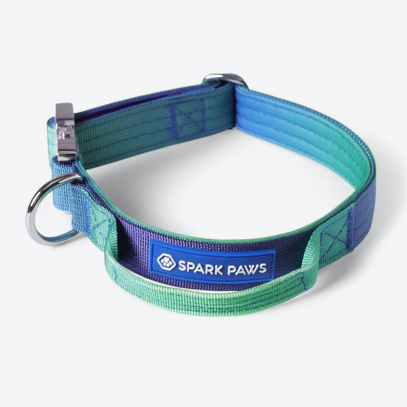 Collier tactique pour chien - Vague de citron vert