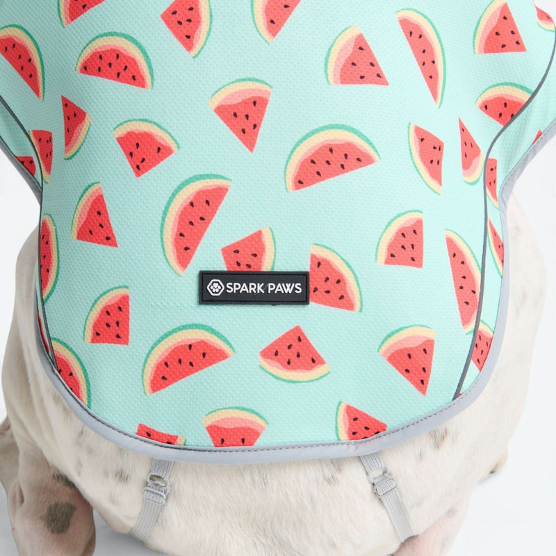 Gilet rafraîchissant pour chien - Pastèque