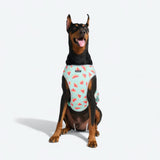Gilet rafraîchissant pour chien - Pastèque