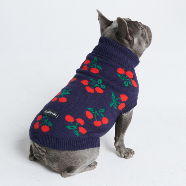 Pull pour chien en tricot - Cerises