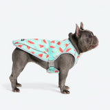 Gilet rafraîchissant pour chien - Pastèque