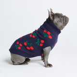 Pull pour chien en tricot - Cerises