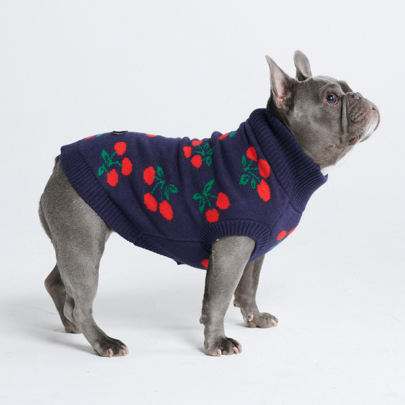 Pull pour chien en tricot - Cerises