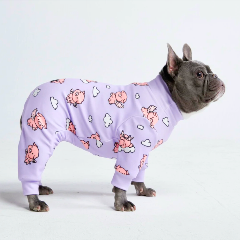 Pyjama pour chien Quand les cochons volent Violet SPARK PAWS