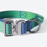 Collier tactique pour chien - Vague de citron vert