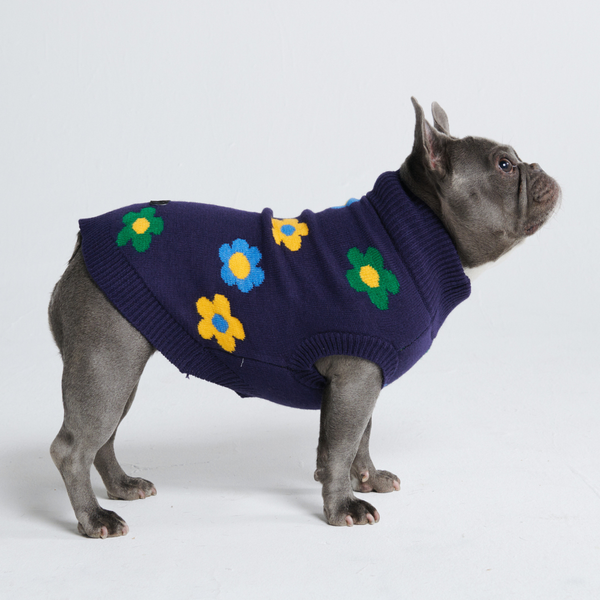 Pull pour chien en tricot - Fleurs bleues vertes jaunes