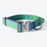 Collier tactique pour chien - Vague de citron vert