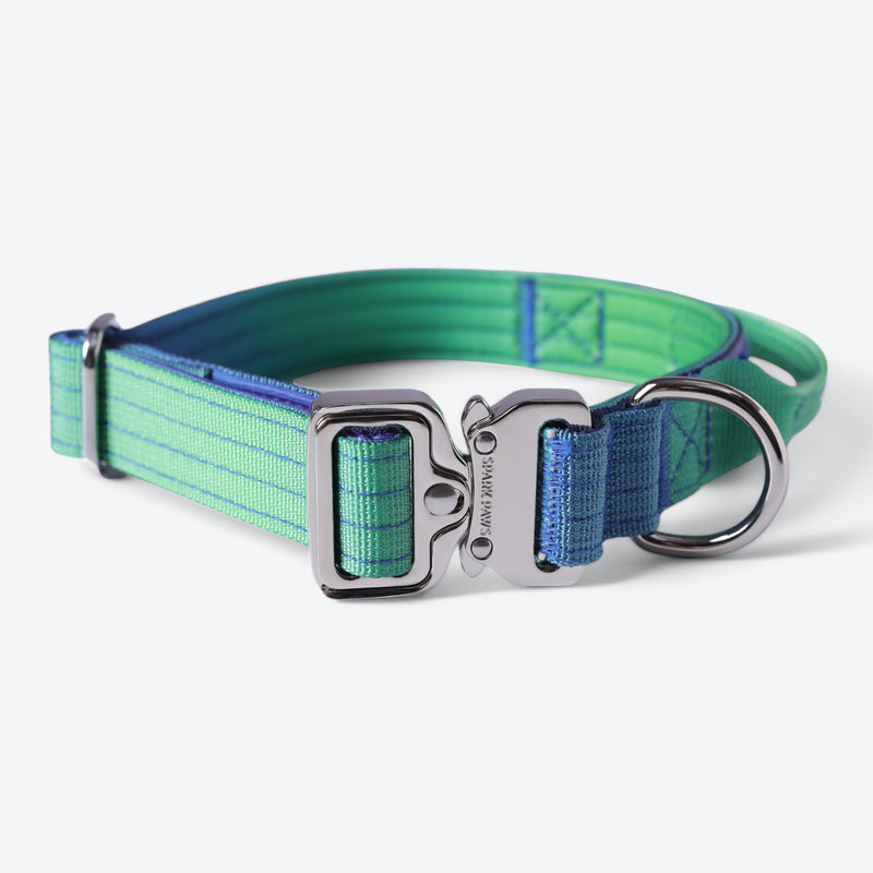 Collier tactique pour chien - Vague de citron vert