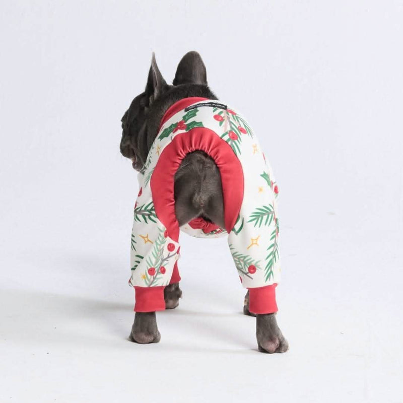 Pyjama de Noël pour chien - Le gui
