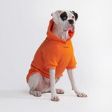 Sweat à capuche Essential Dog - Orange