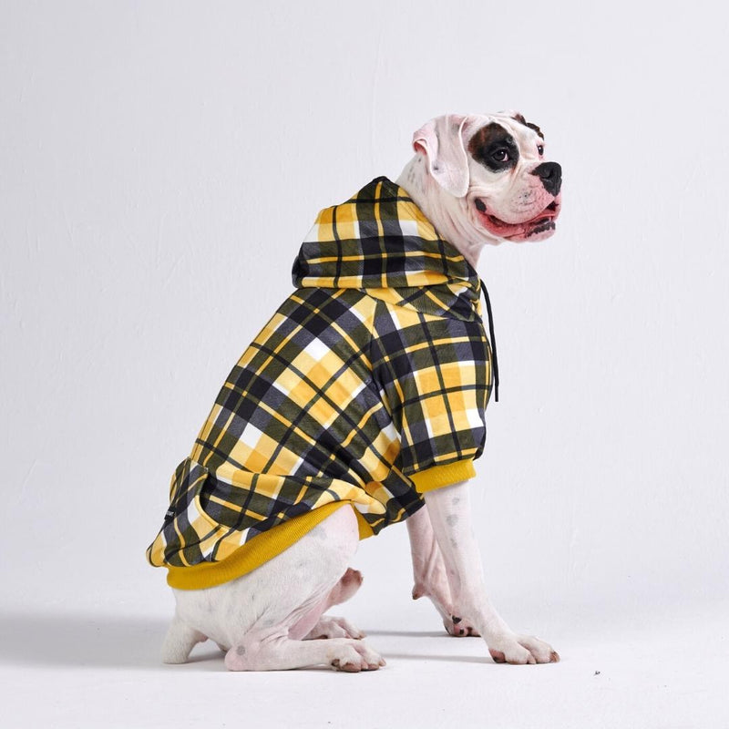 Plaid Dog Hoodie