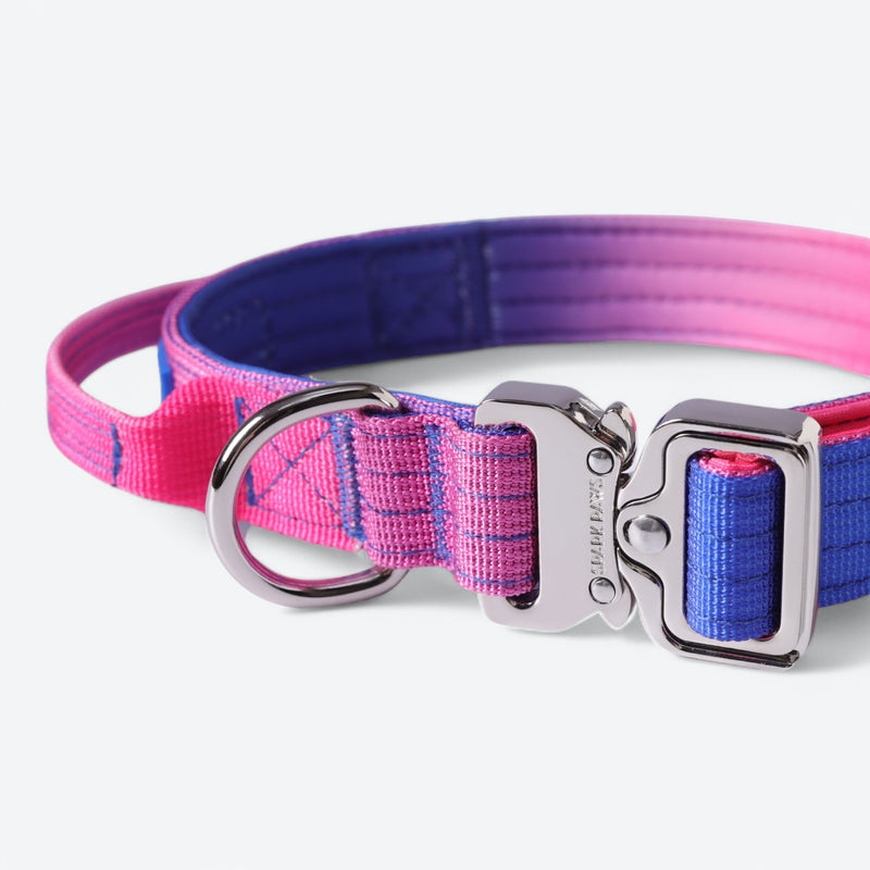 Collier tactique pour chien - Cône de neige