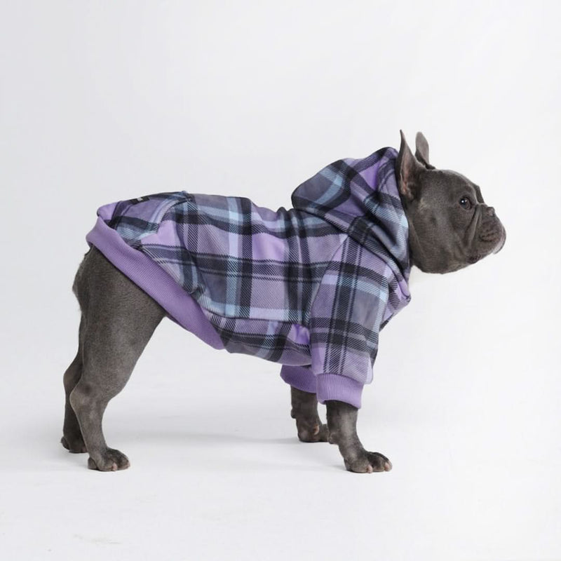 Carreaux Violette Pull à Capuche Pour Chien