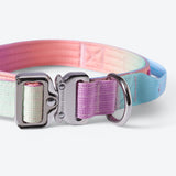 Ensemble de colliers tactiques pour chien - Glaçage pastel