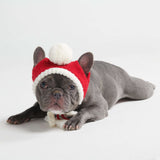 Chapeau d'hiver en tricot pour chiens