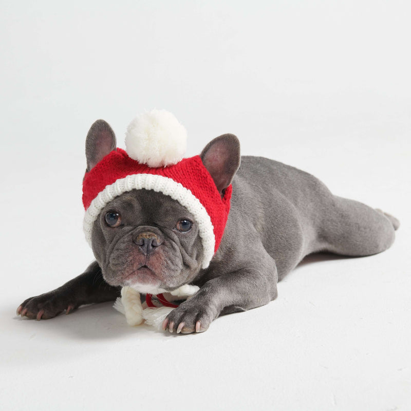 Chapeau d'hiver en tricot pour chiens