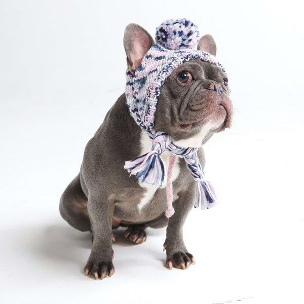 Chapeau d'hiver en tricot pour chiens