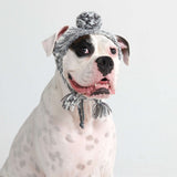 Chapeau d'hiver en tricot pour chiens