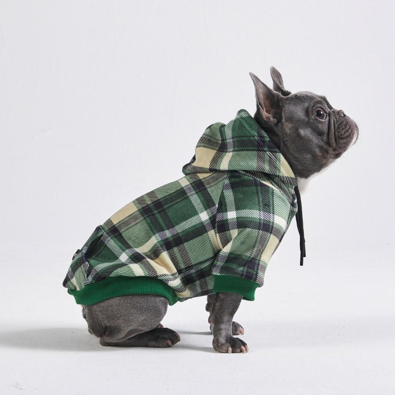 Plaid Dog Hoodie