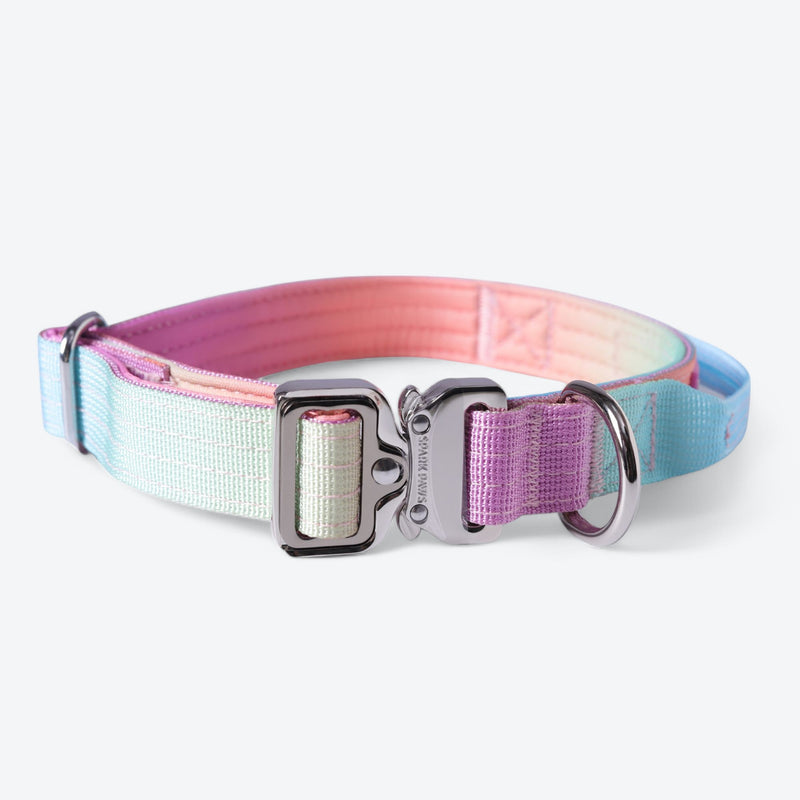 Ensemble de colliers tactiques pour chien - Glaçage pastel