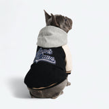 Veste universitaire pour chien - Noir