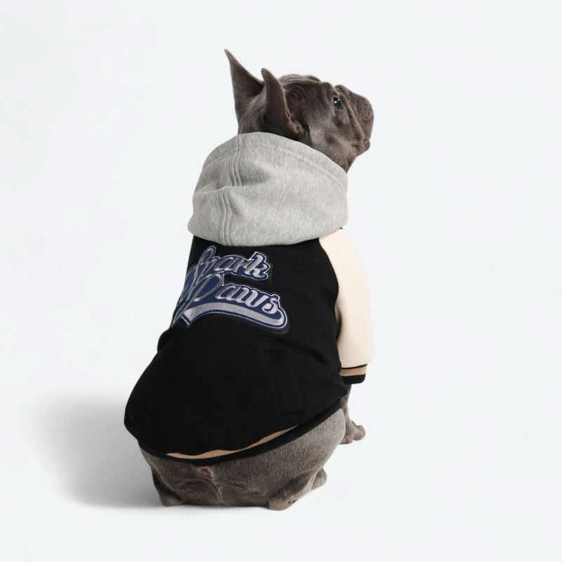 Veste universitaire pour chien - Noir