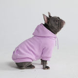 Sweat à capuche Essential Dog - Lilas