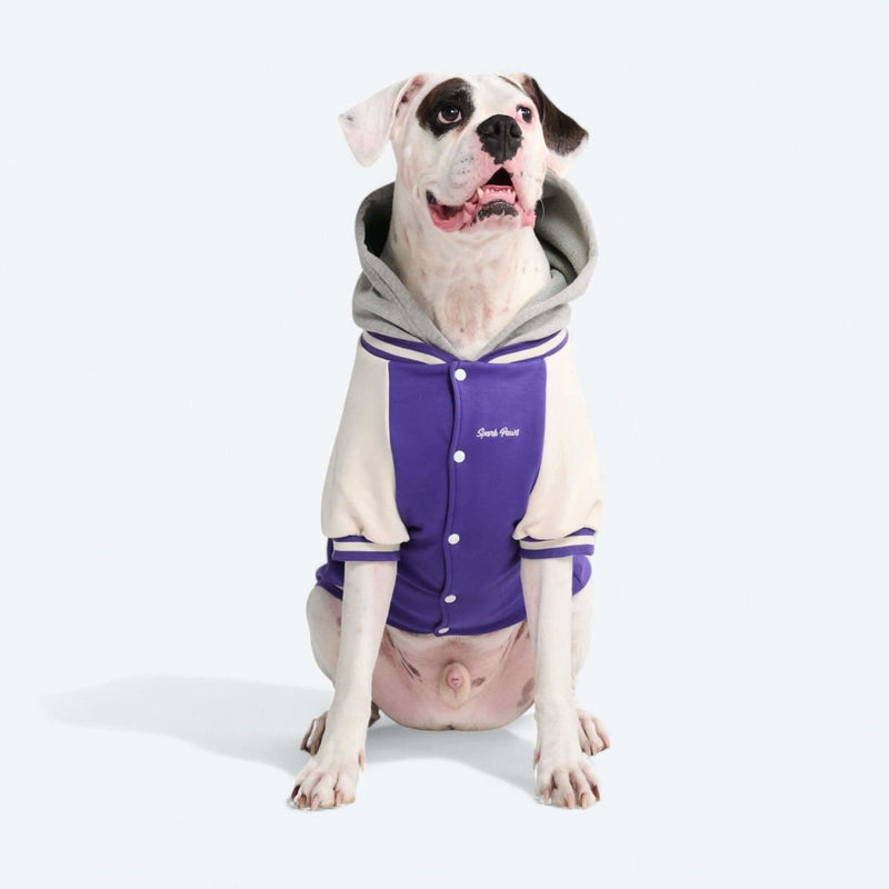 Purple Varsity Jacket