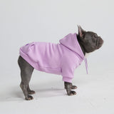 Sweat à capuche Essential Dog - Lilas