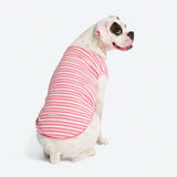 T-shirt rayé - Rose Rouge