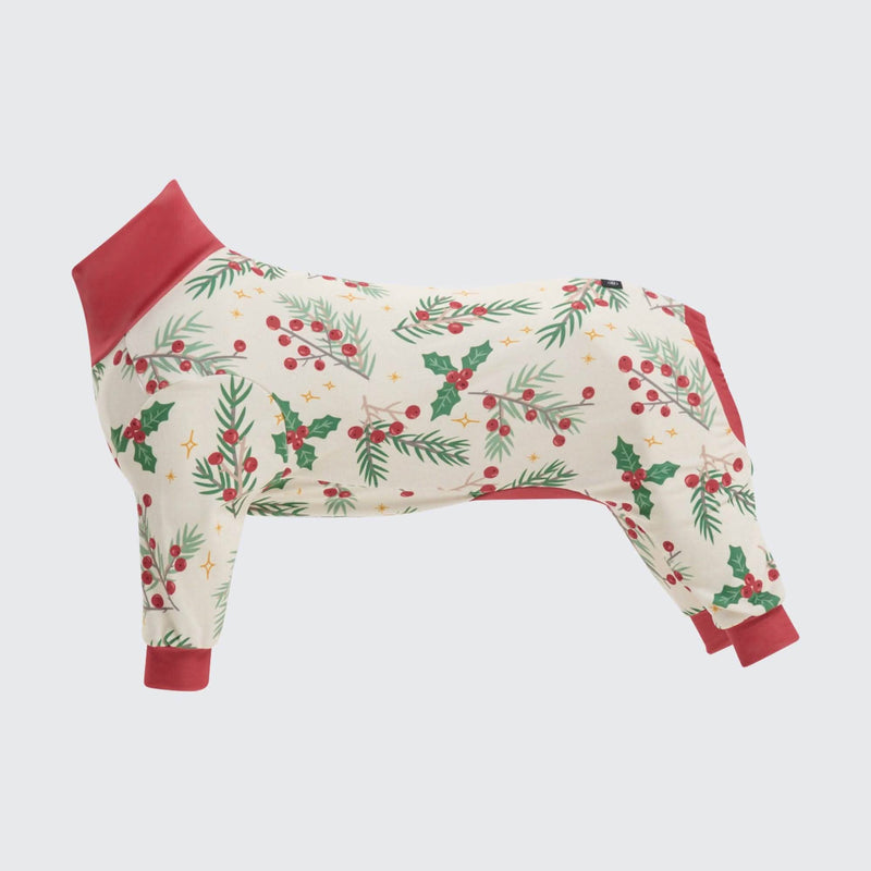 Pyjama de Noël pour chien - Le gui