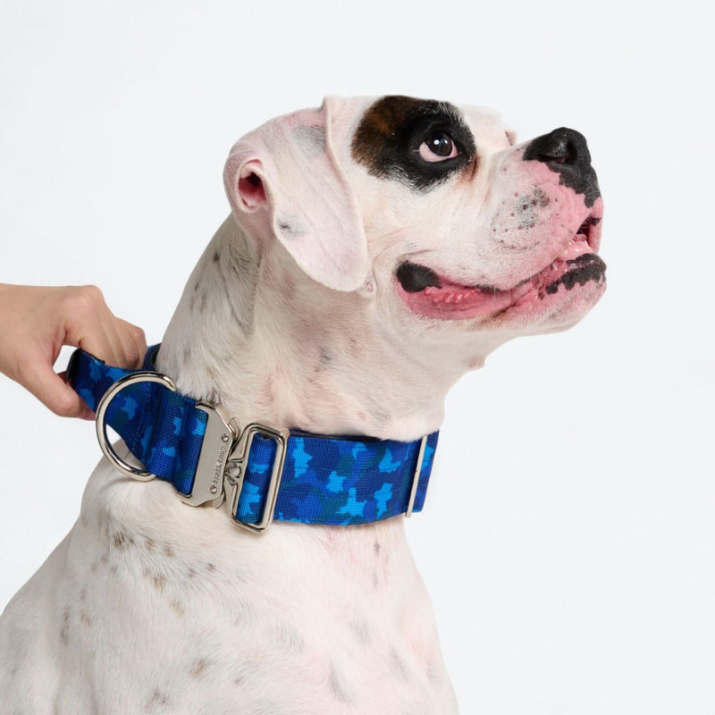 Ensemble collier de contrôle confort - Camouflage Bleu