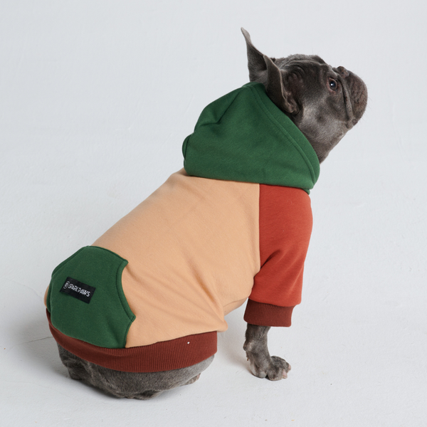 Pull à Capuche Pour Chien - Forestier