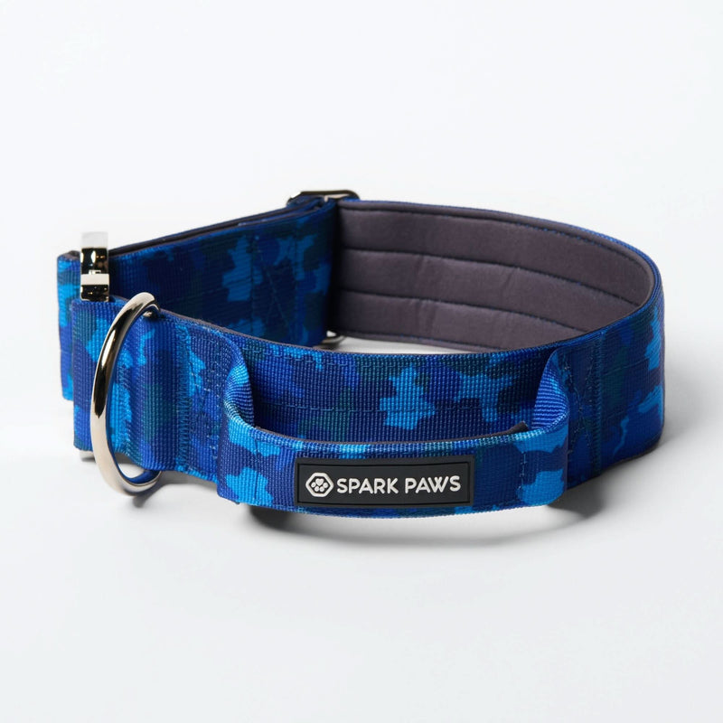 Ensemble collier de contrôle confort - Camouflage Bleu