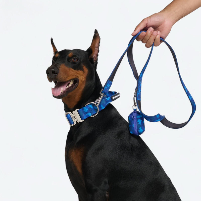 Ensemble collier de contrôle confort - Camouflage Bleu