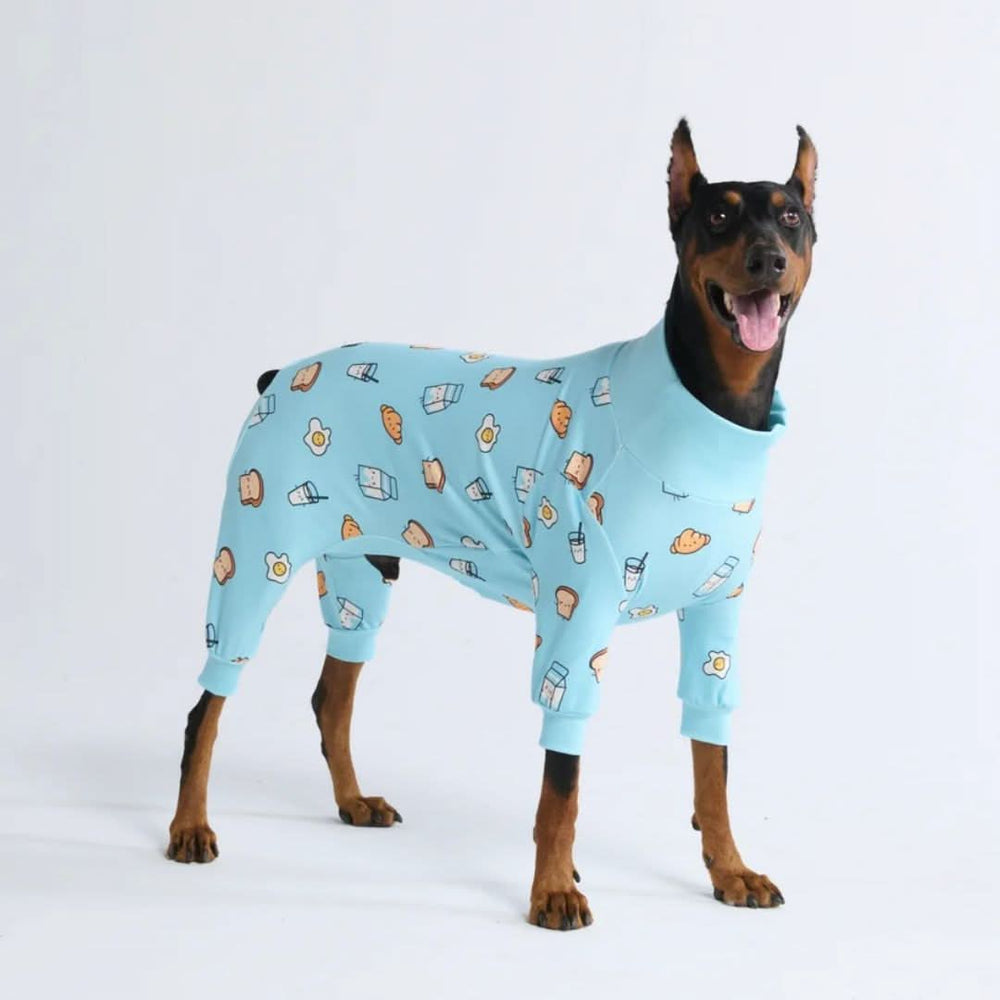 Ranphy Pyjama à rayures pour petit chien avec pantalon