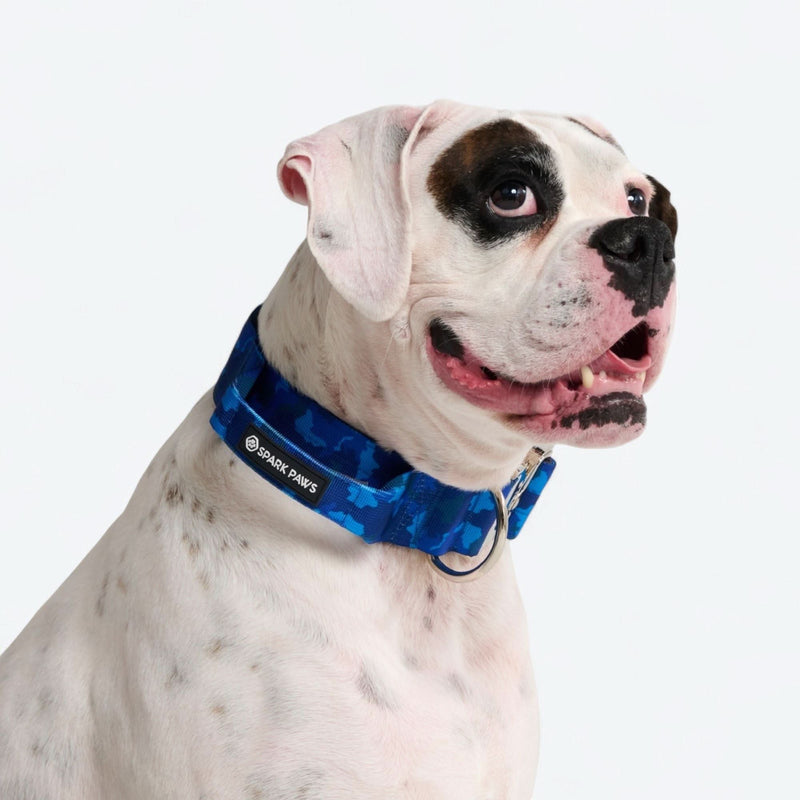Ensemble collier de contrôle confort - Camouflage Bleu
