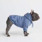 Pull à Capuche Essentiel Pour Chien - Bleu Ardoise