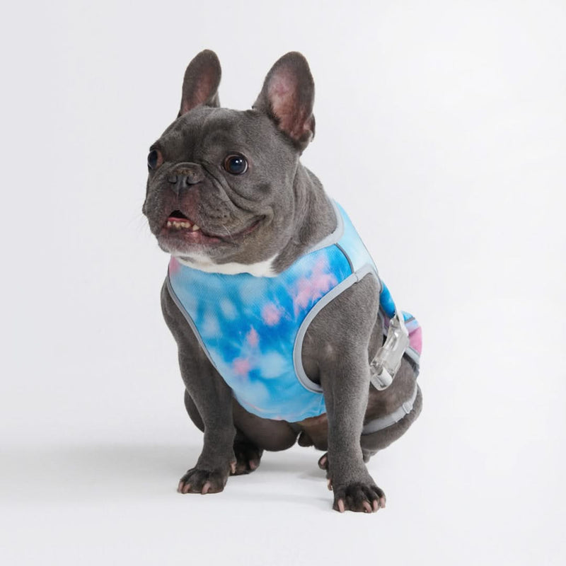 Gilet rafraîchissant pour chien - Snow Cone