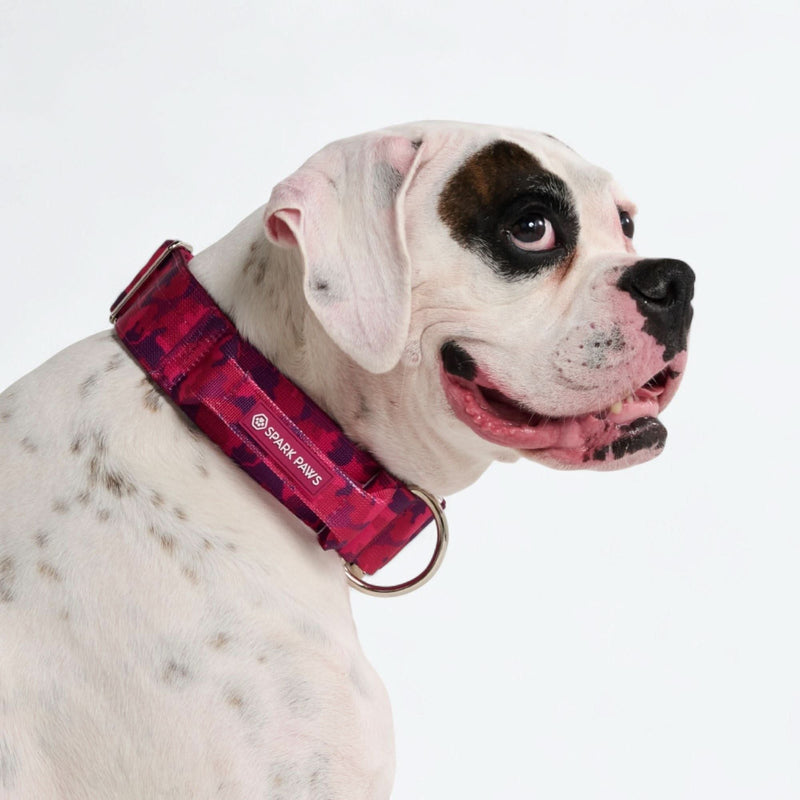 Collier de contrôle confort - Camouflage Fuchsia