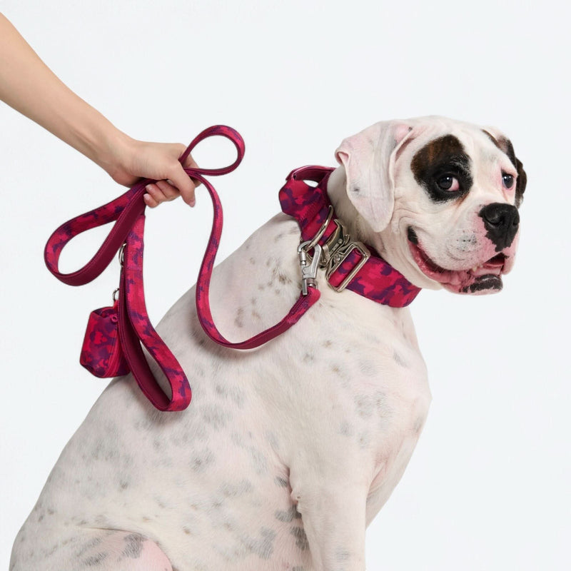 Ensemble laisse et distributeur de sacs à déjections - Camouflage Fuchsia