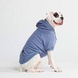 Pull à Capuche Essentiel Pour Chien - Bleu Ardoise