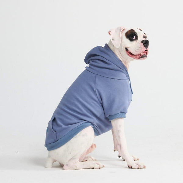 Pull à Capuche Essentiel Pour Chien - Bleu Ardoise