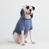 Pull à Capuche Essentiel Pour Chien - Bleu Ardoise