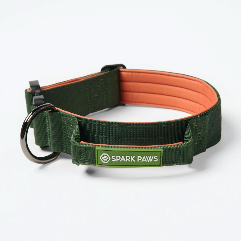 Collier de contrôle confort - Vert Orange