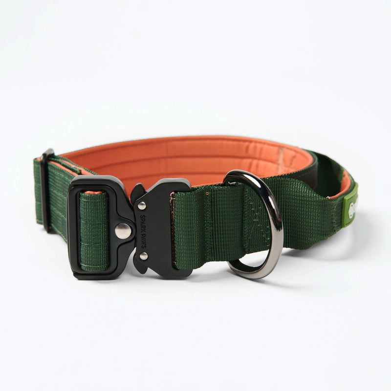 Collier de contrôle confort - Vert Orange