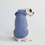 Pull à Capuche Essentiel Pour Chien - Bleu Ardoise