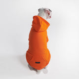 Sweat à capuche Essential Dog - Orange
