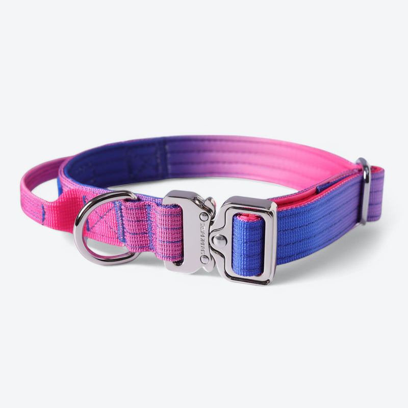 Collier tactique pour chien - Cône de neige